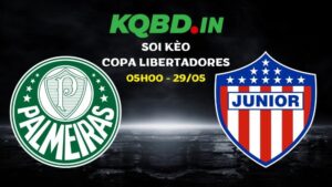 Nhận định Palmeiras vs Junior FC ngày 29/05/2026 | Copa Libertadores 35 Nhận định Palmeiras vs Junior FC ngày 29/05/2026 | Copa Libertadores